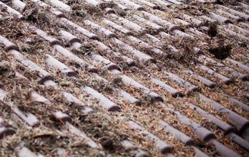 Southside roof cleaning companies